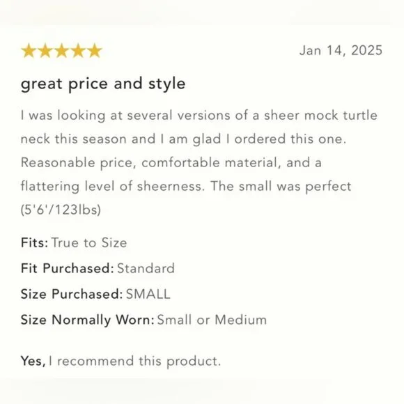 NWT Size M By Anthropologie Mesh Turtleneck Top - Picture 7 of 15